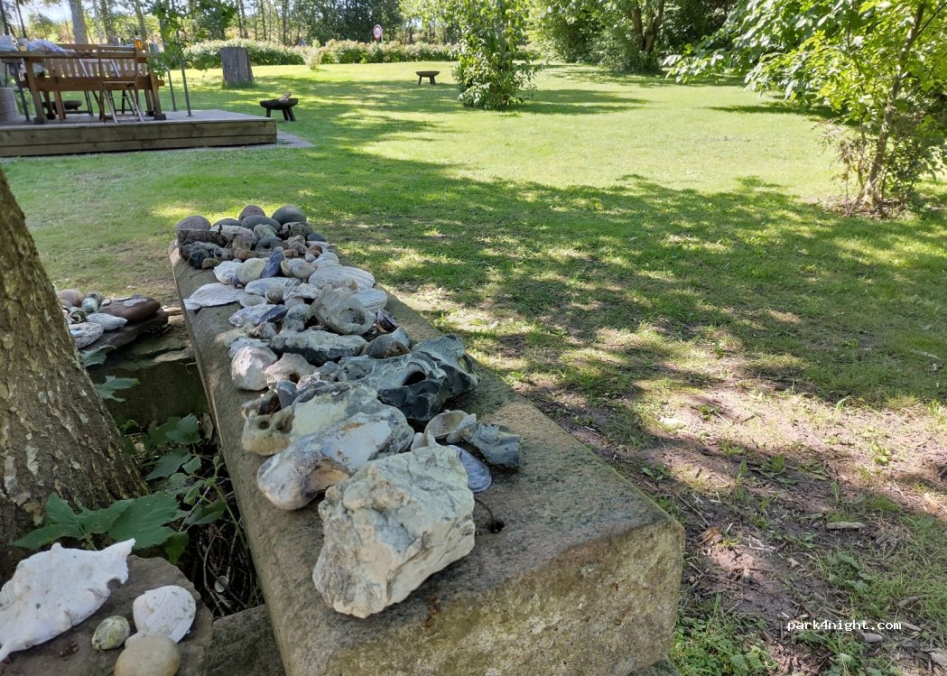 Lindely Naturcamp — foto 2
