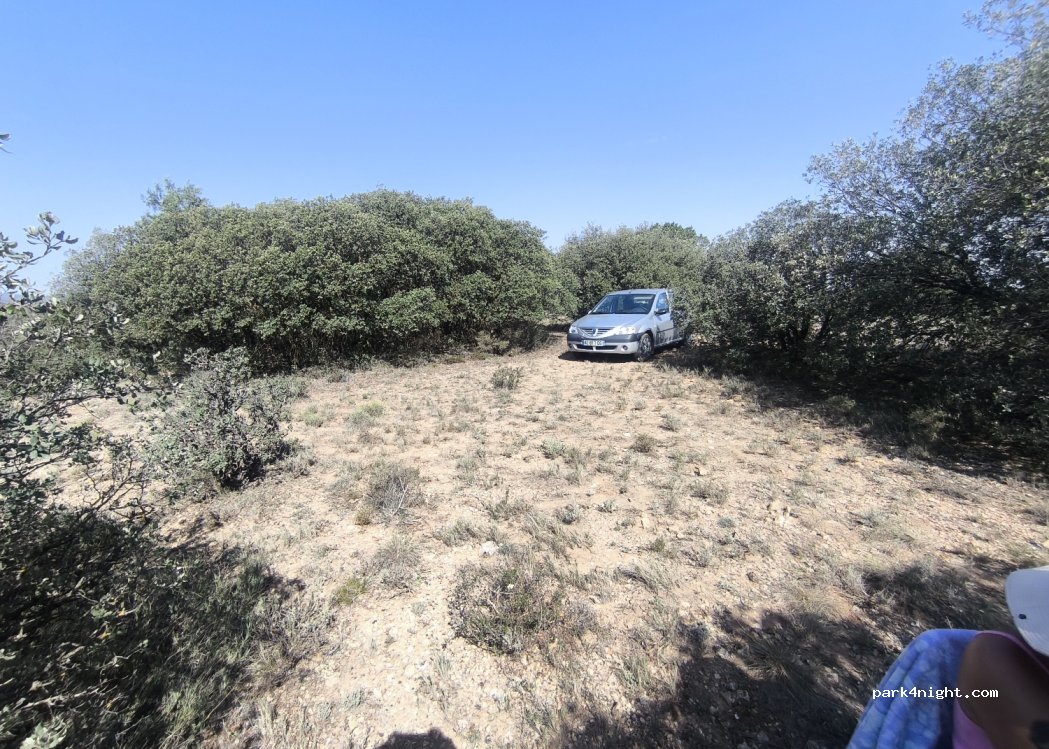 (44121) El Campillo - — foto