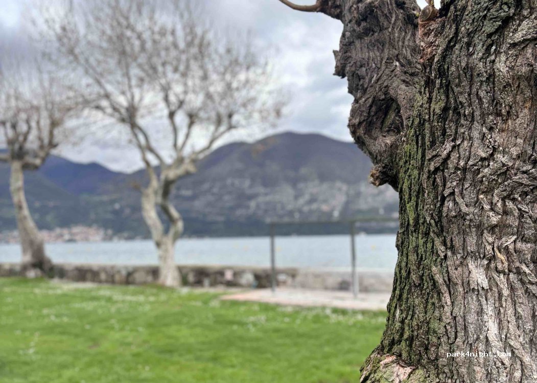 Camping Del Sole à Iséo — foto 4