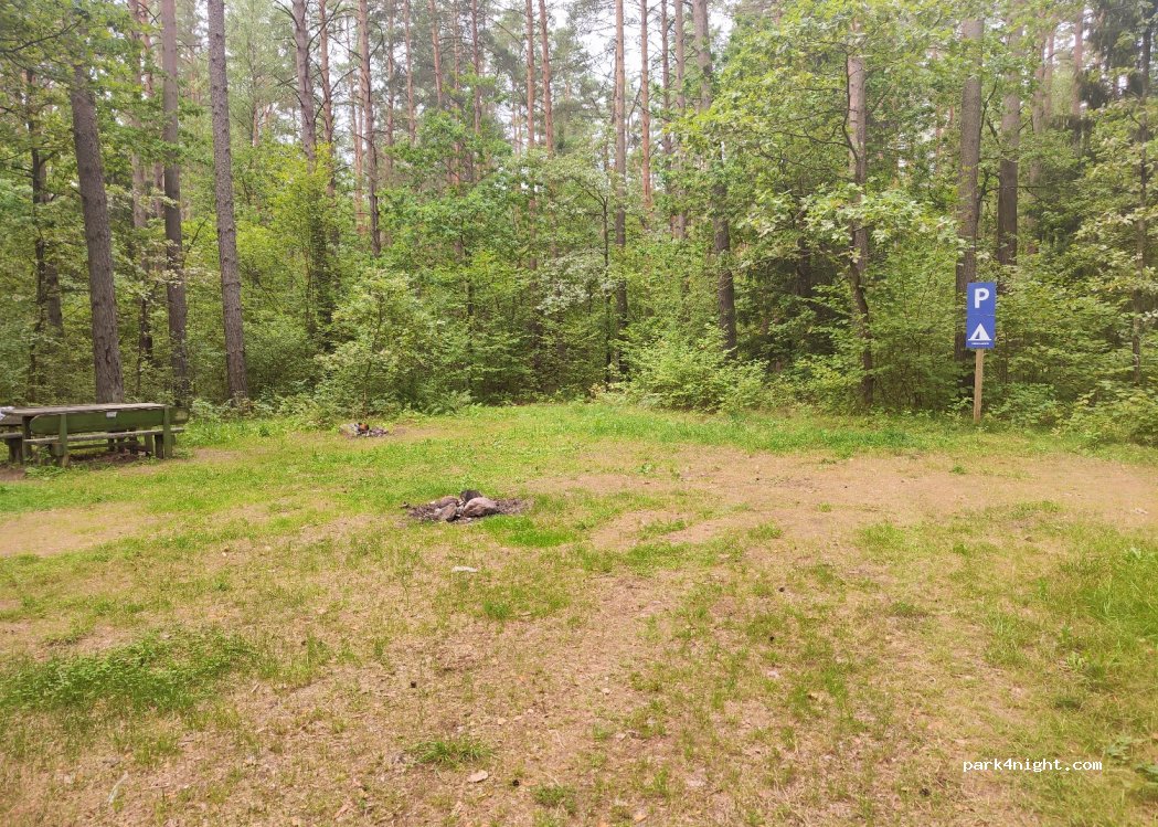 (67256) Gegutė - Unnamed Road — foto