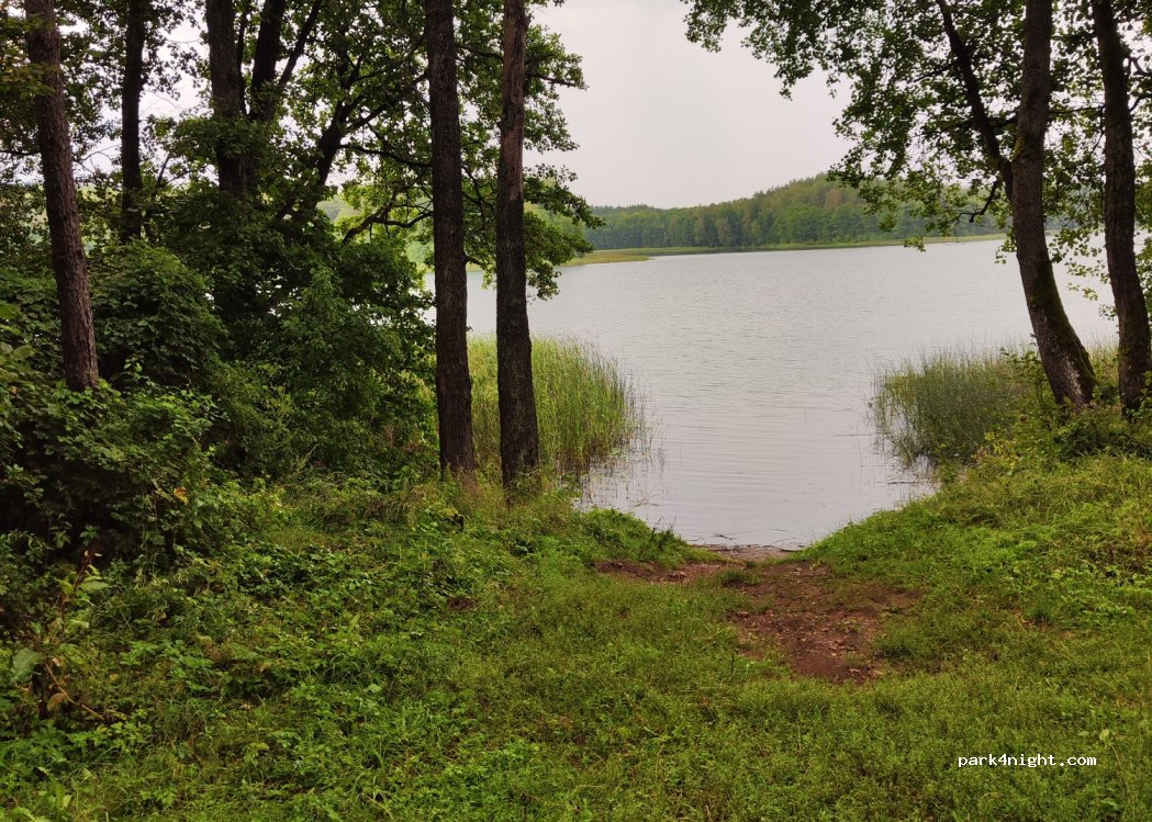 (67256) Gegutė - Unnamed Road — foto 2