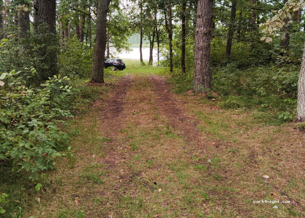 (67256) Gegutė - Unnamed Road — foto 3