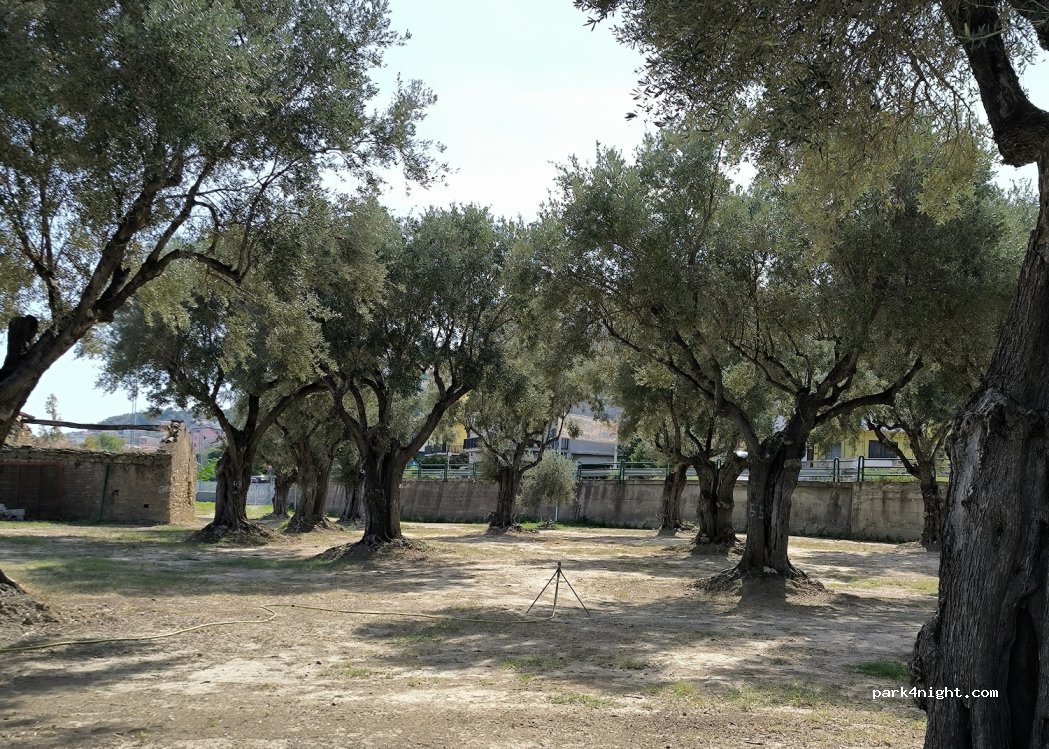 Camper Club Cariati Marina — foto 4