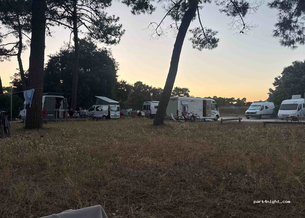 (33680) Lacanau - 2 Route de l'Atlantique — foto