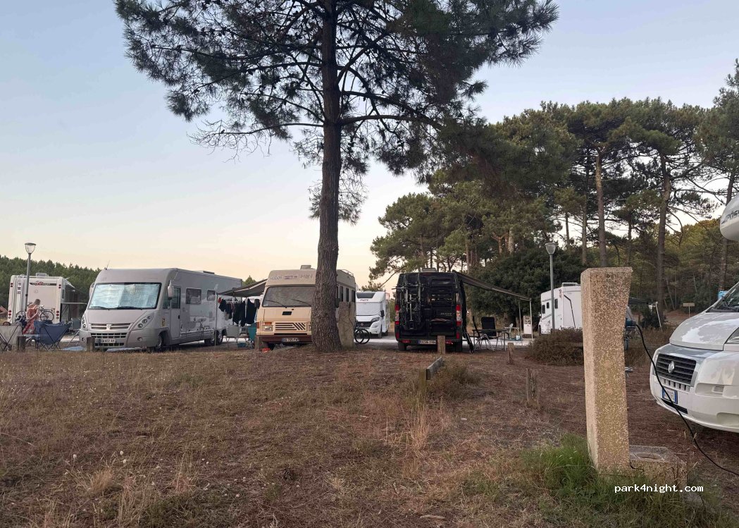 (33680) Lacanau - 2 Route de l'Atlantique — foto 2