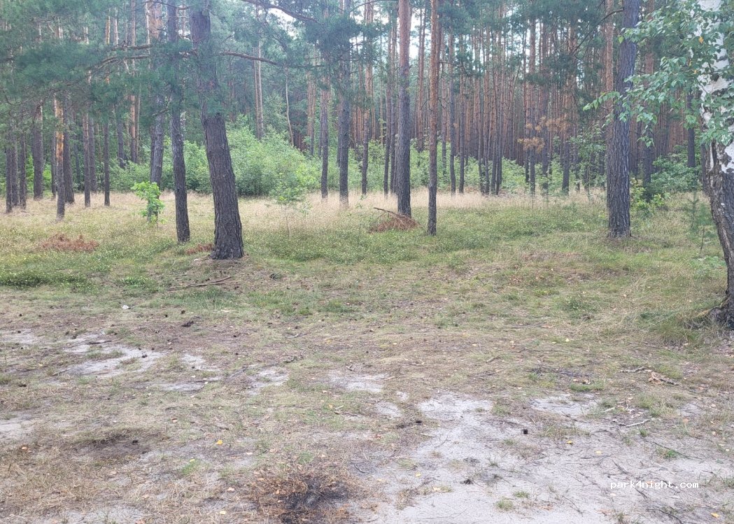 (225913) Pozhezhin - — foto 3