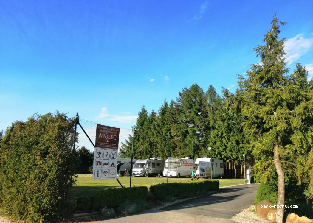 Winery Mulec — foto