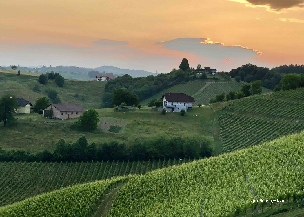 Winery Mulec — foto 5