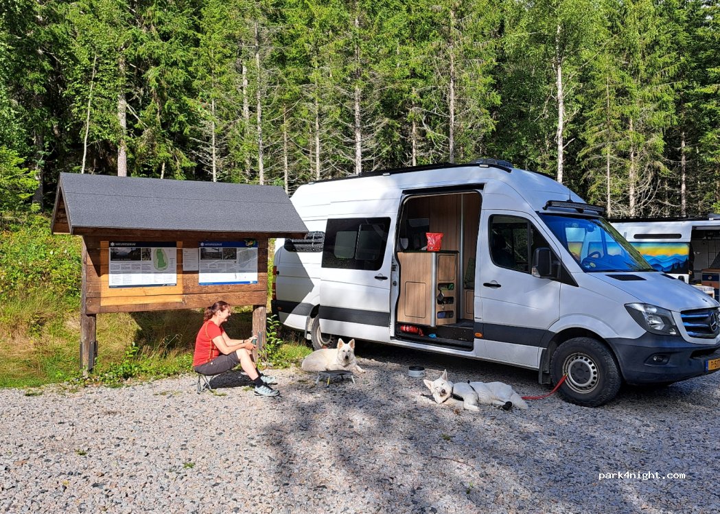(785 42) Mockfjärd - — foto