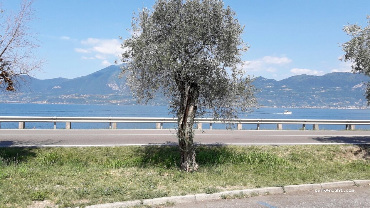 (37010) Torri del Benaco - Località Cavrie, 8 — foto 3