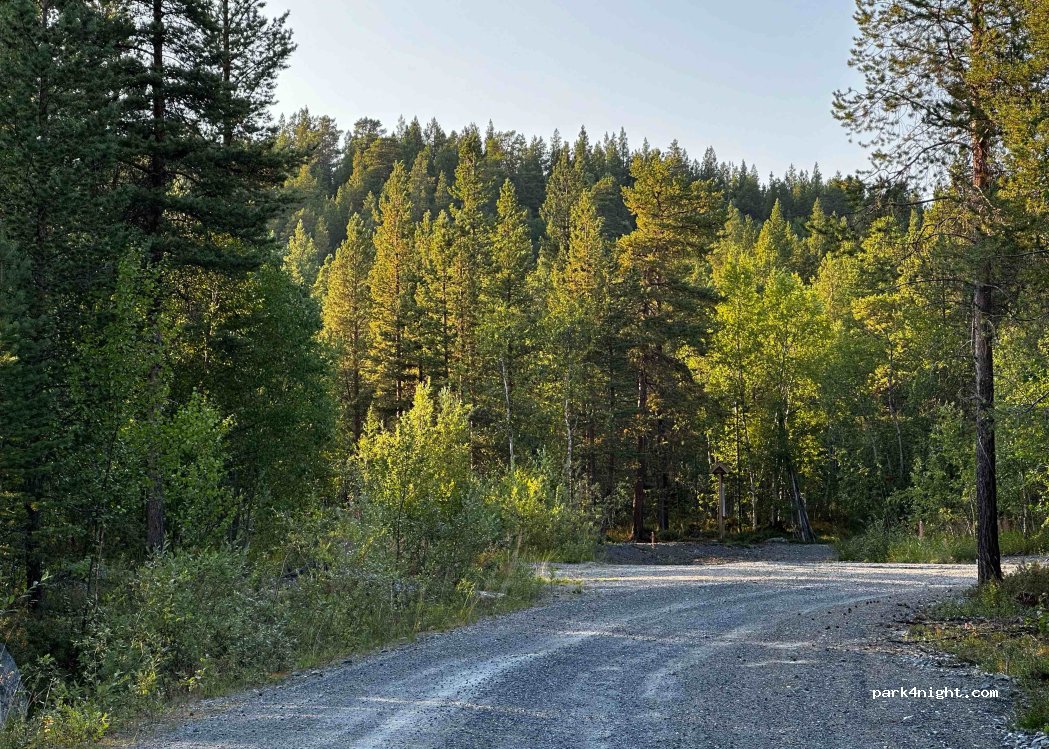 (9925) Bjørnsund - Unnamed Road — foto
