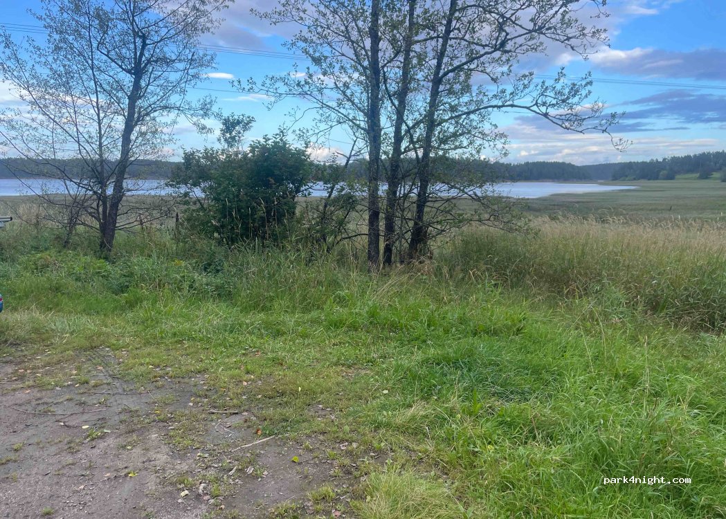 (1712) Grålum - — foto