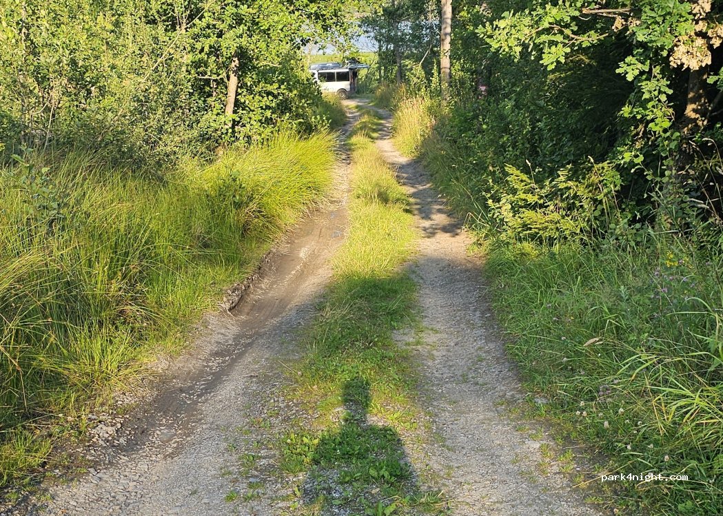 (1712) Grålum - — foto 3