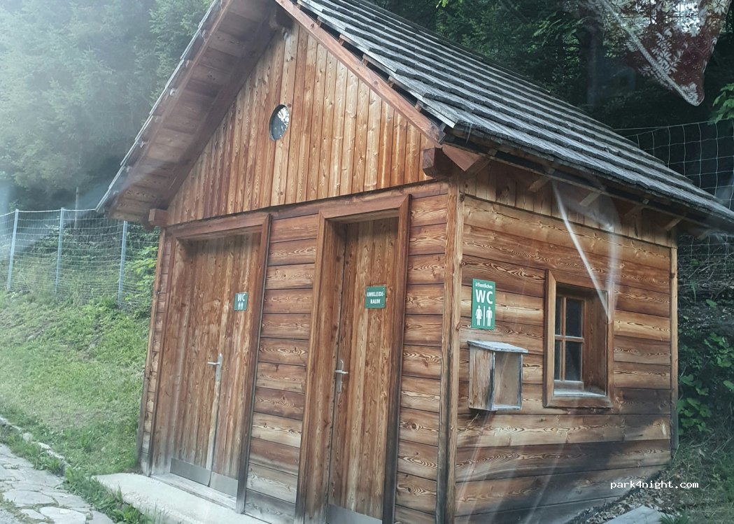 (5584) Wald - 12 Wald — foto
