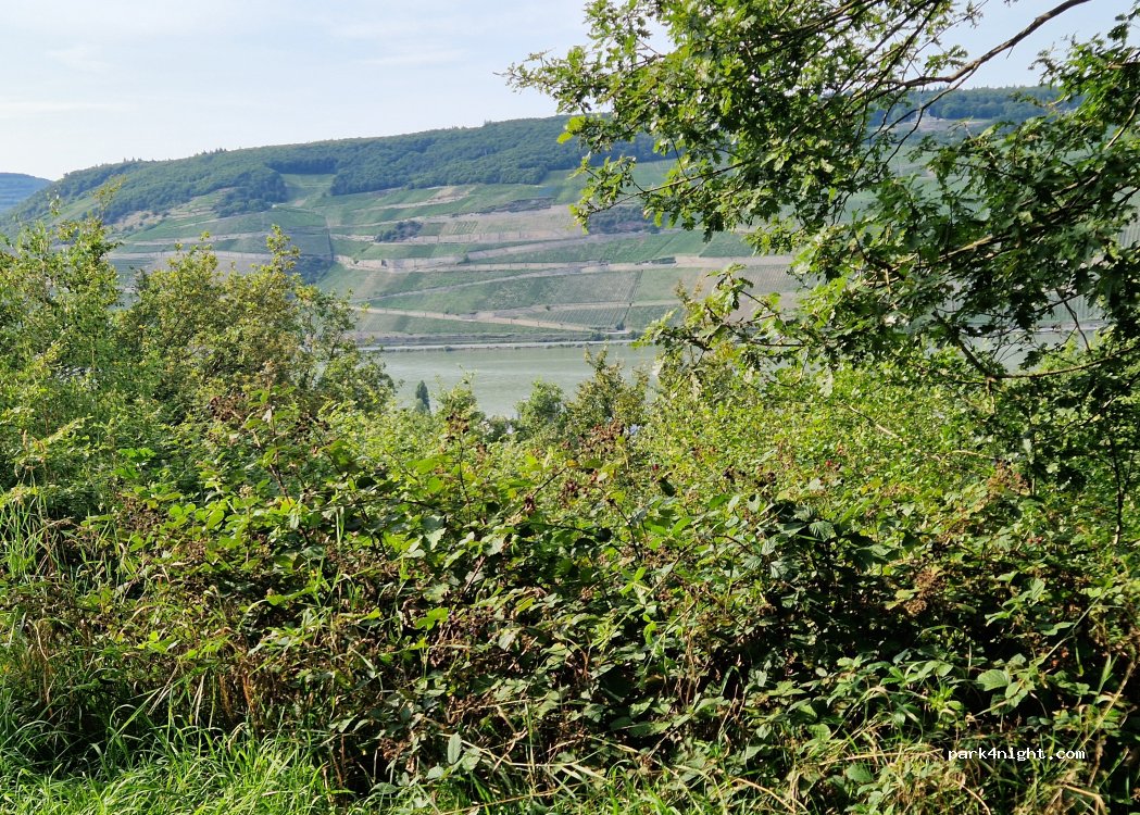 (55411) Bingen am Rhein - 12 Goethestraße — foto 3