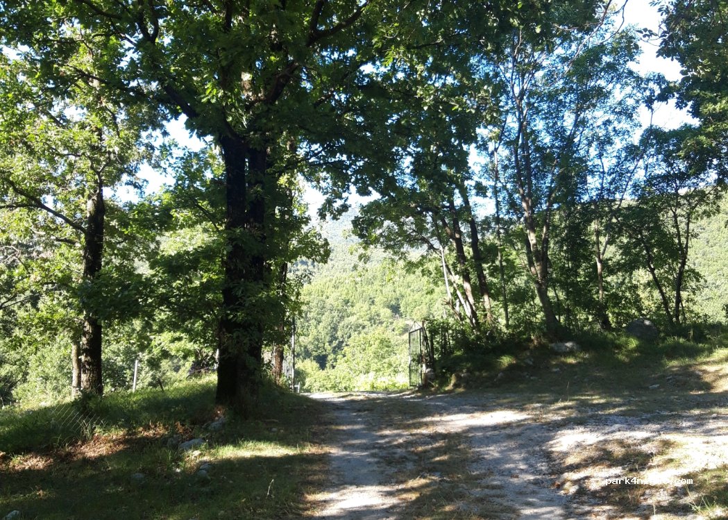 () Dragalj - — foto 3