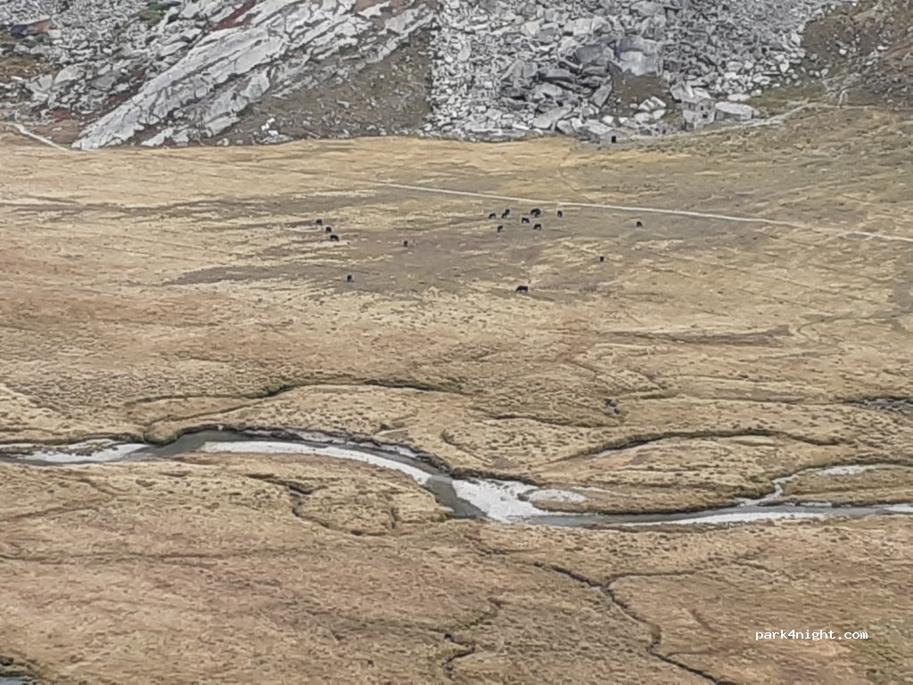 (11010) Valsavarenche - Unnamed Road — foto 3