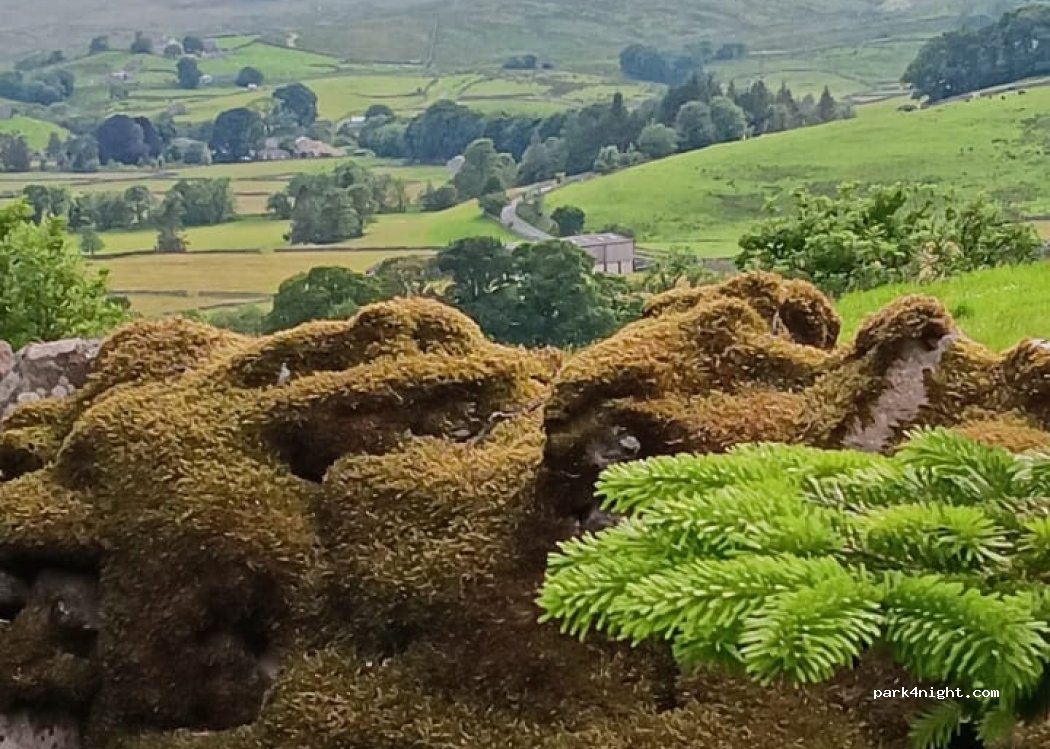 (DL8 3LY) Hawes - Quarry — foto 2