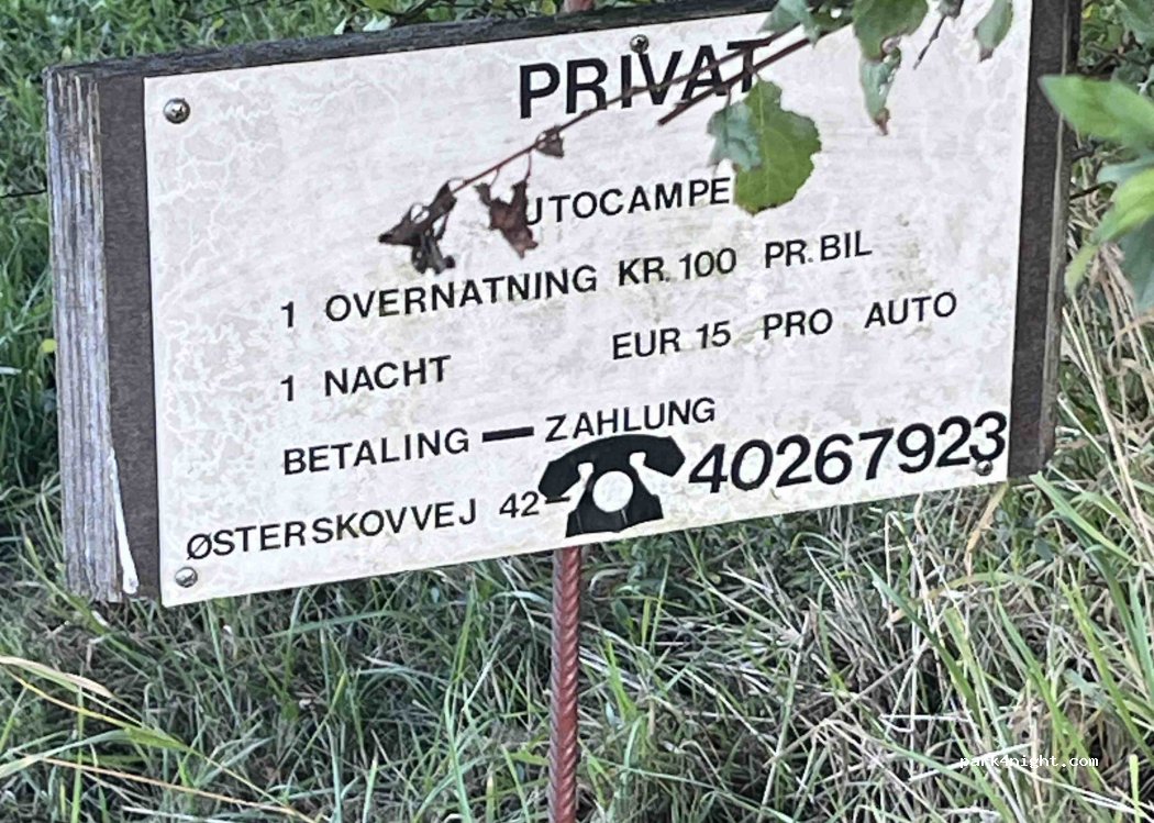 (5932) Humble - 42C Østerskovvej — foto 5
