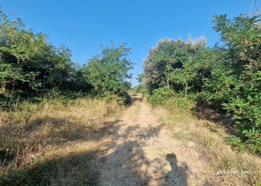 (17480) Le Château-d'Oléron - — foto 2