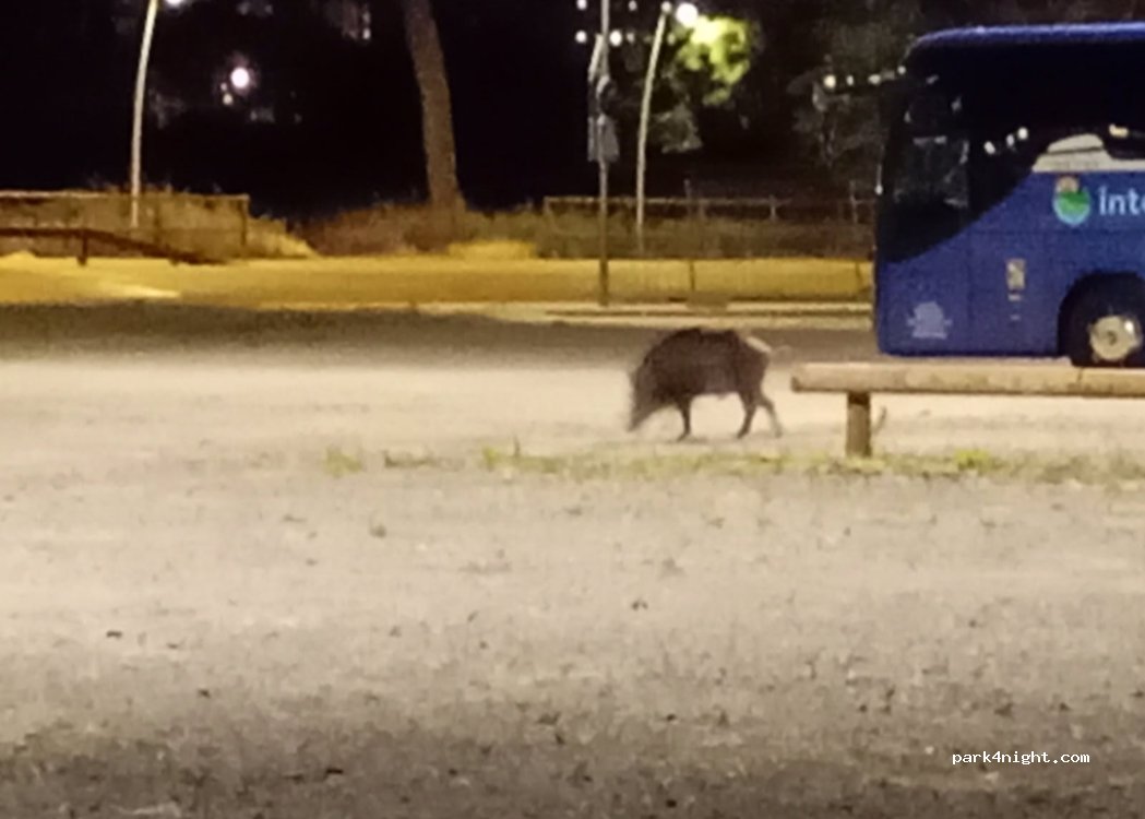 (08380) Malgrat de Mar - 6 Avinguda de la Costa Brava — foto 5