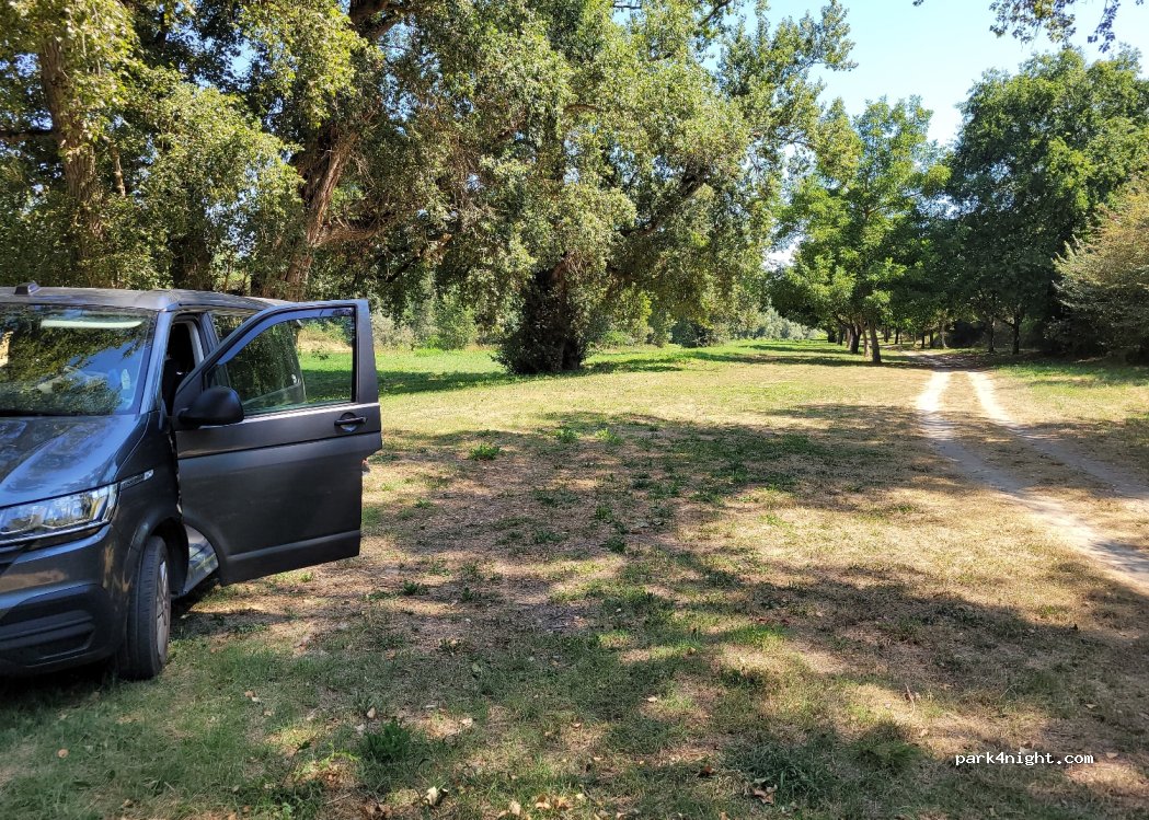 (31310) Gensac-sur-Garonne - Chemin du Moulin — foto