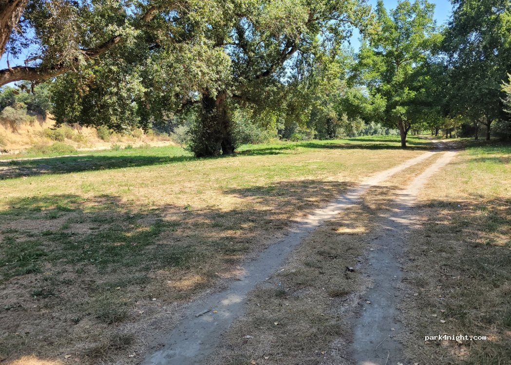 (31310) Gensac-sur-Garonne - Chemin du Moulin — foto 2