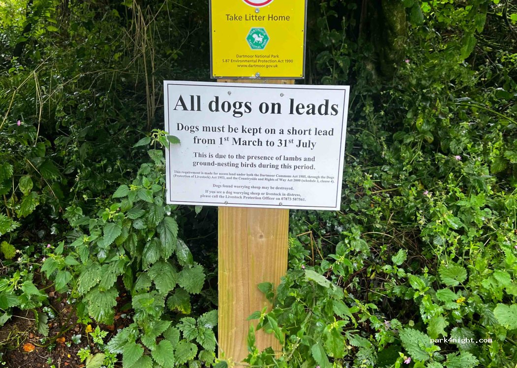 (PL21 0EZ) Ivybridge - Unnamed Road — foto