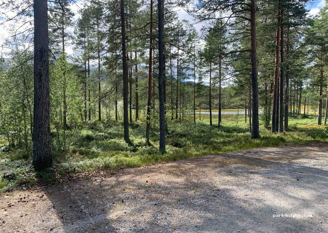 (3882) Åmdals Verk - — foto 2