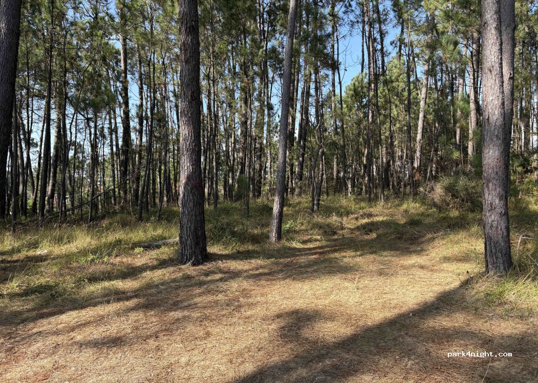 (36979) Sanxenxo - 18 Rúa Cabicastro — foto 2