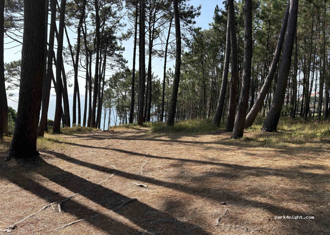 (36979) Sanxenxo - 18 Rúa Cabicastro — foto 4