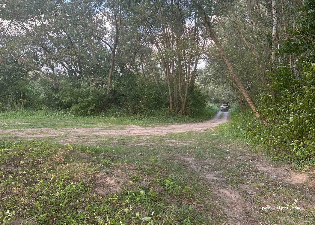 () Dąbrówka Pniowska - Unnamed Road — foto