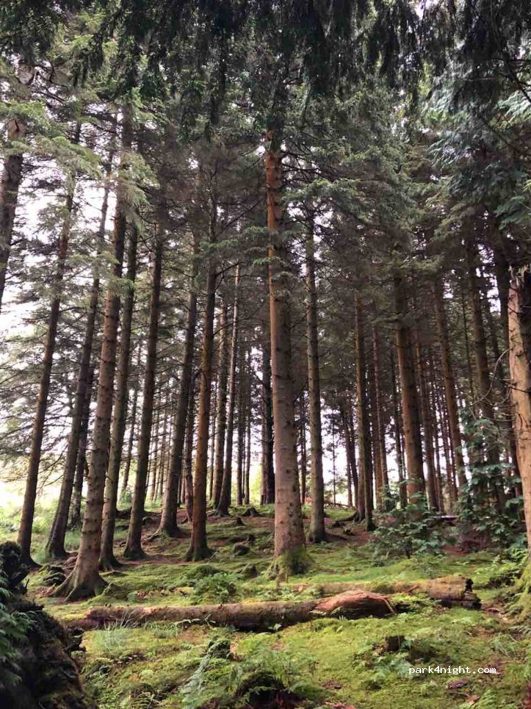 (LL27) Betws-y-Coed - Llyn Geirionydd — foto 2