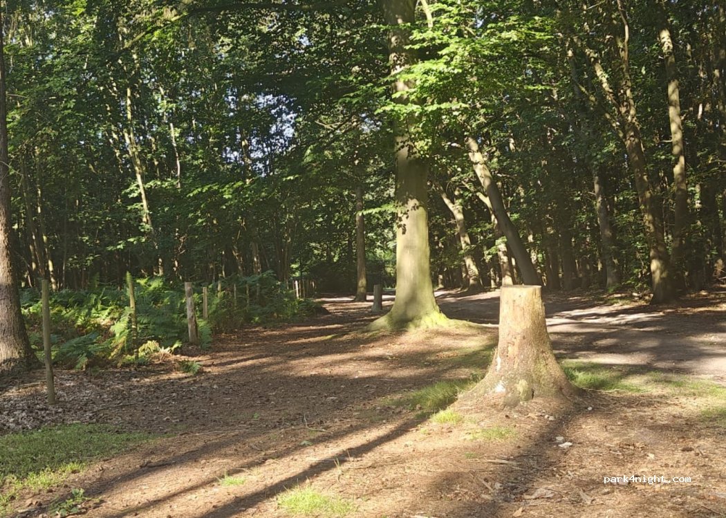 (9185) Wachtebeke - 30 Knokkestraat — foto