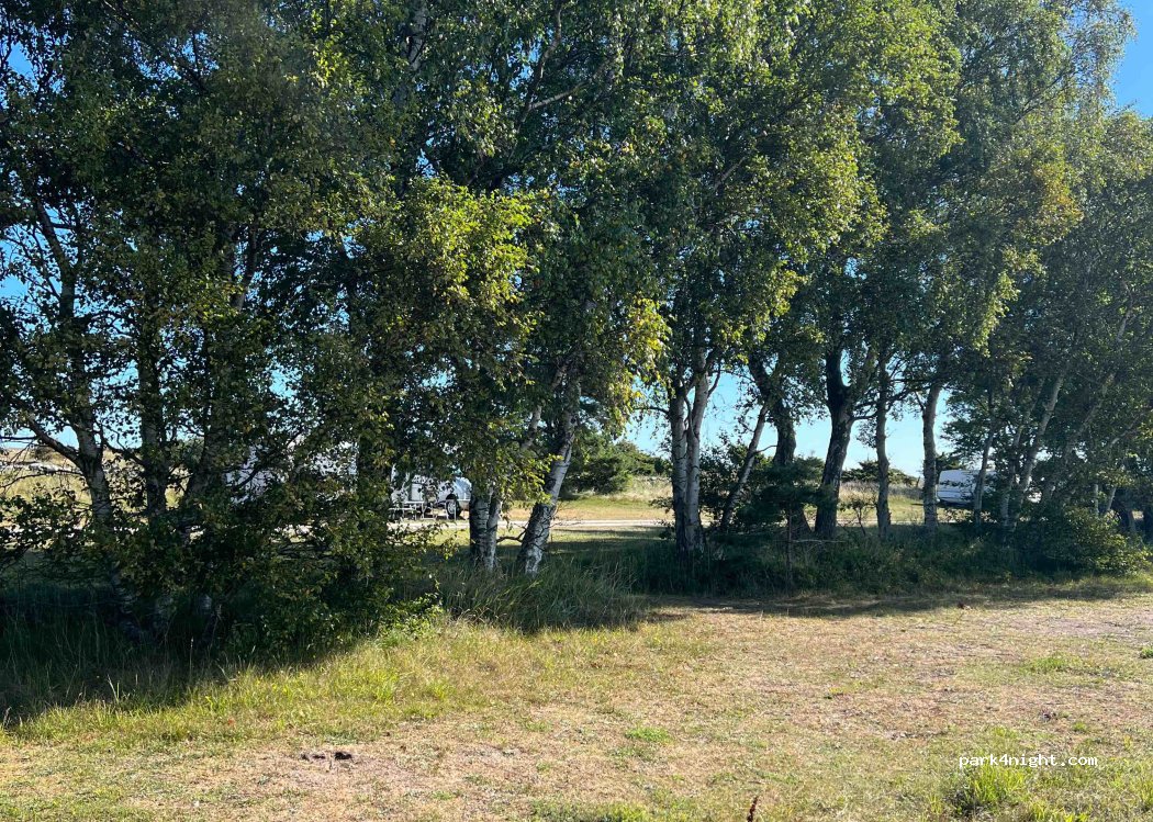 (623 32) Burgsvik - Unnamed Road — foto 2