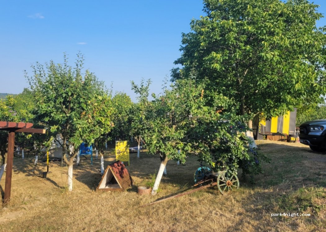 Пчеларска ферма с. Войвода — foto 4