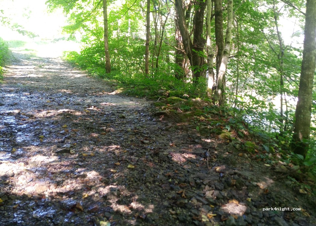 (5282) Cerkno - 41 Plužnje — foto