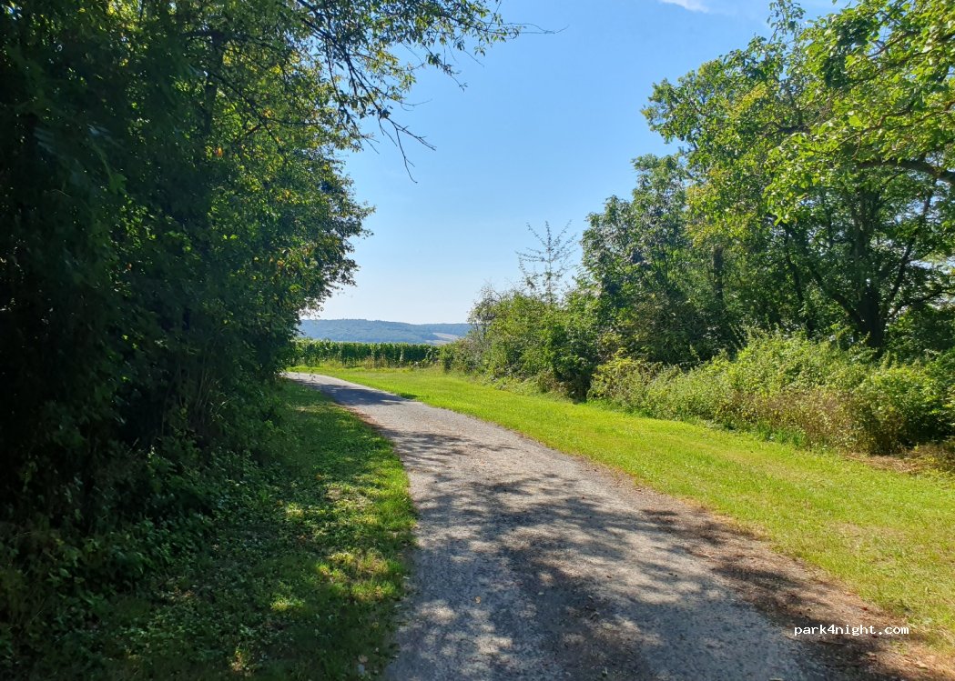 (97922) Lauda-Königshofen - Unnamed Road — foto 2