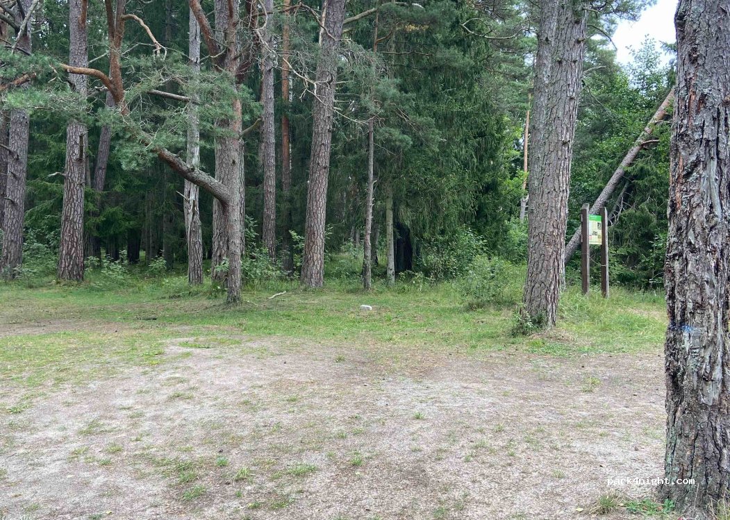 (3601) Lielirbe - — foto
