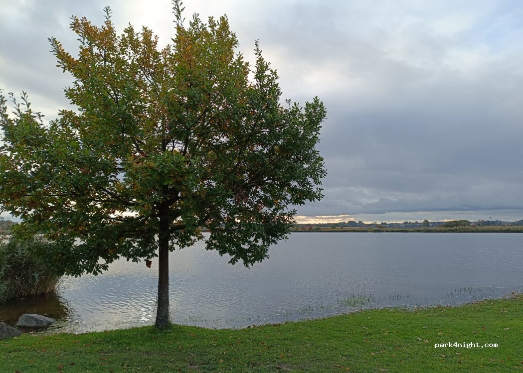 (86666) Burgheim - ND11 — foto 3