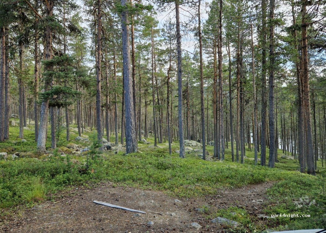 (3580) Geilo - — foto