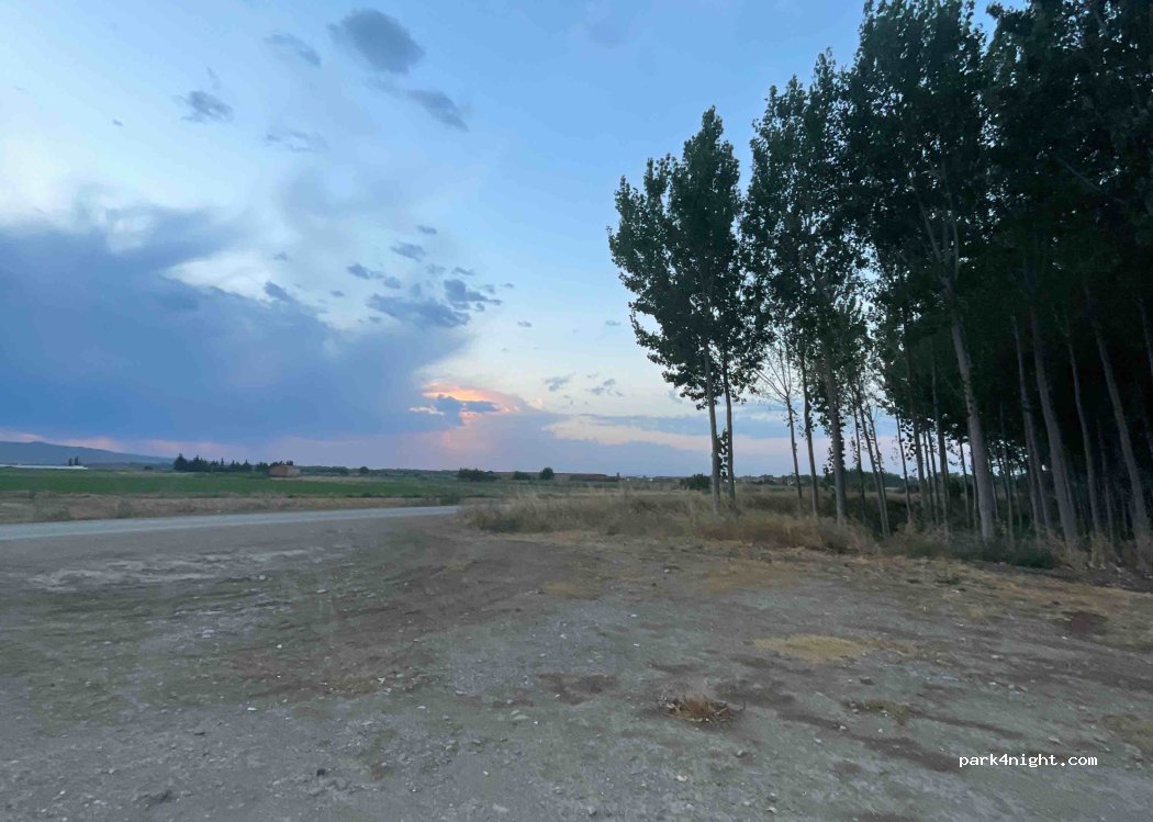 (50668) Pradilla de Ebro - — foto