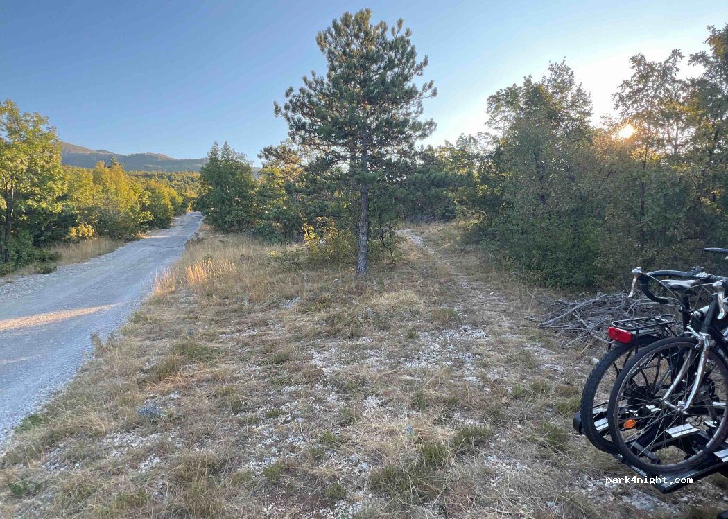 (51218) Podkilavac - — foto