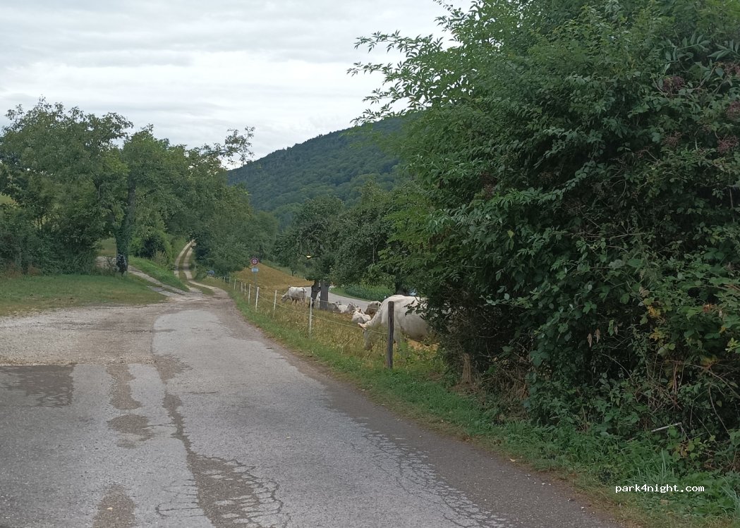 (8232) Merishausen - Am Stägli — foto 2