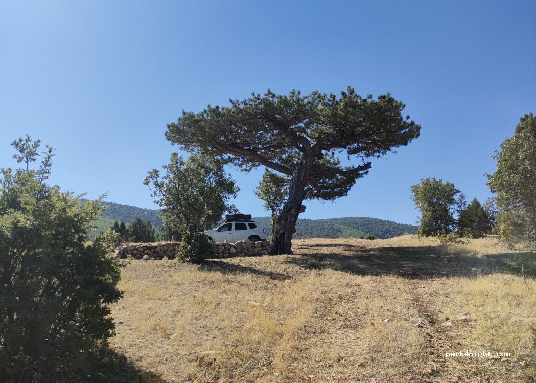 (20650) Işıklı - — foto 2