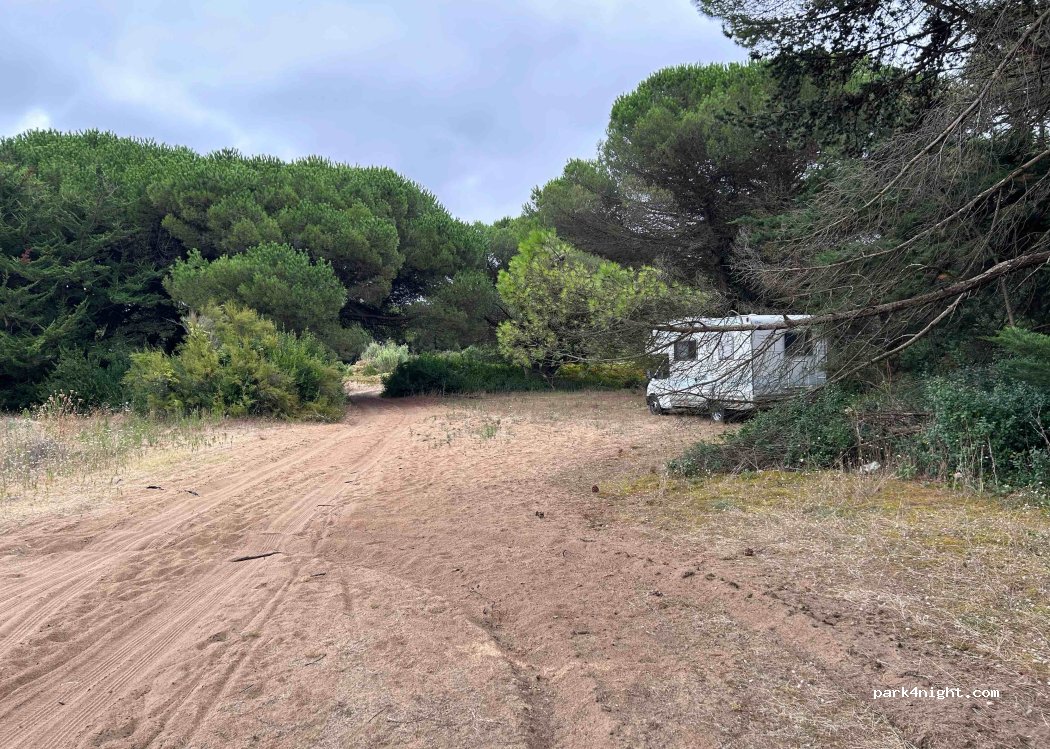 (17580) Le Bois-Plage-en-Ré - 2 Chemin du Valladaguin — foto 3