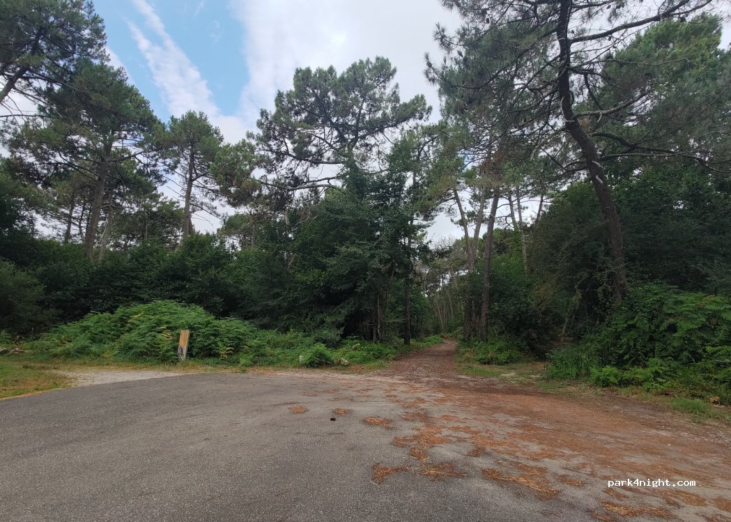 (33260) La Teste-de-Buch - 38 Chemin de la Môle de Braouet — foto