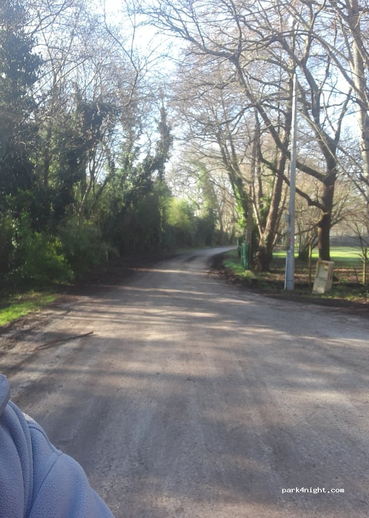 (33260) La Teste-de-Buch - 38 Chemin de la Môle de Braouet — foto 3