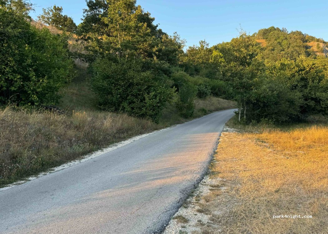 (81450) Duži - — foto 2