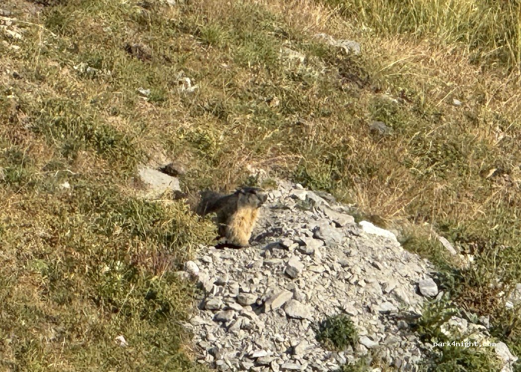 (73480) Val-Cenis - — foto 5